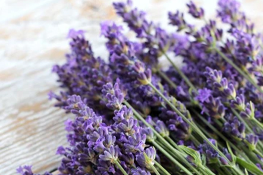 Candle Fragrance Oils